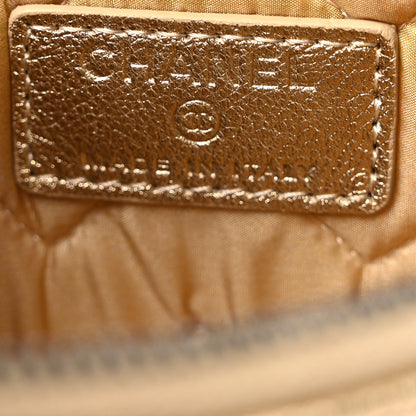 Chanel Metallic Sheepskin Chevron Quilted Small Cosmetic Case Gold 6 of 9