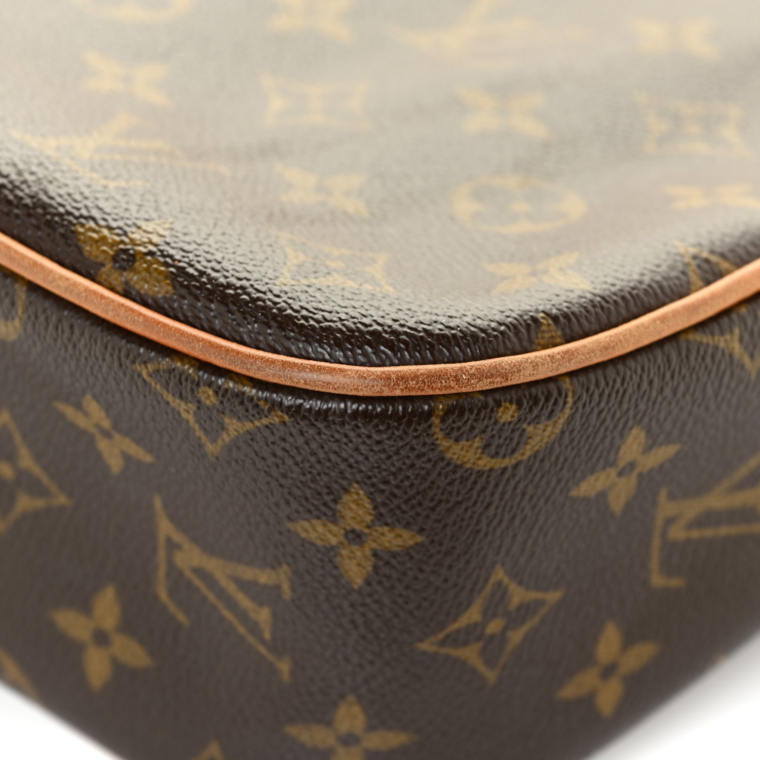 Louis Vuitton Monogram Hudson GM 18 of 26