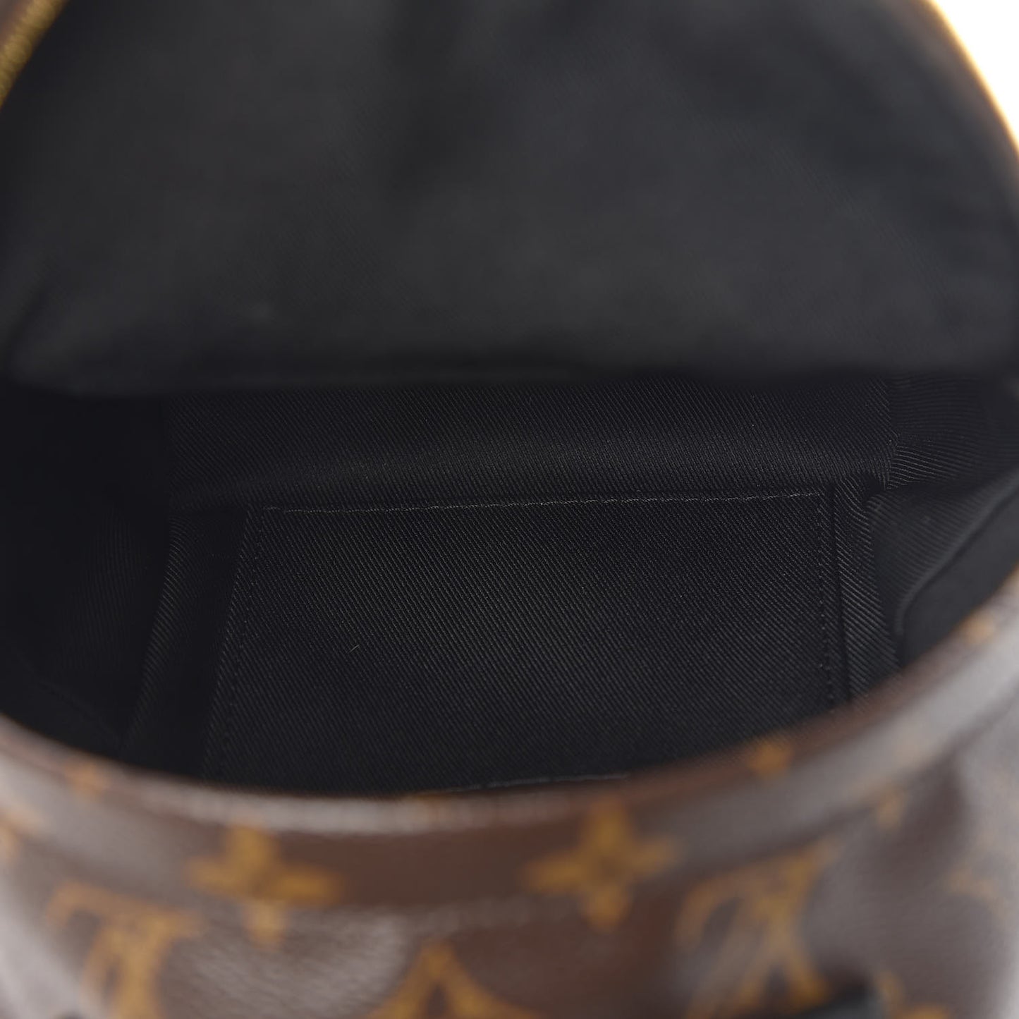Monogram Palm Springs Backpack Mini