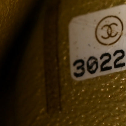 Chanel Metallic Goatskin Quilted 2.55 Reissue 225 Flap Multicolor 7 of 10