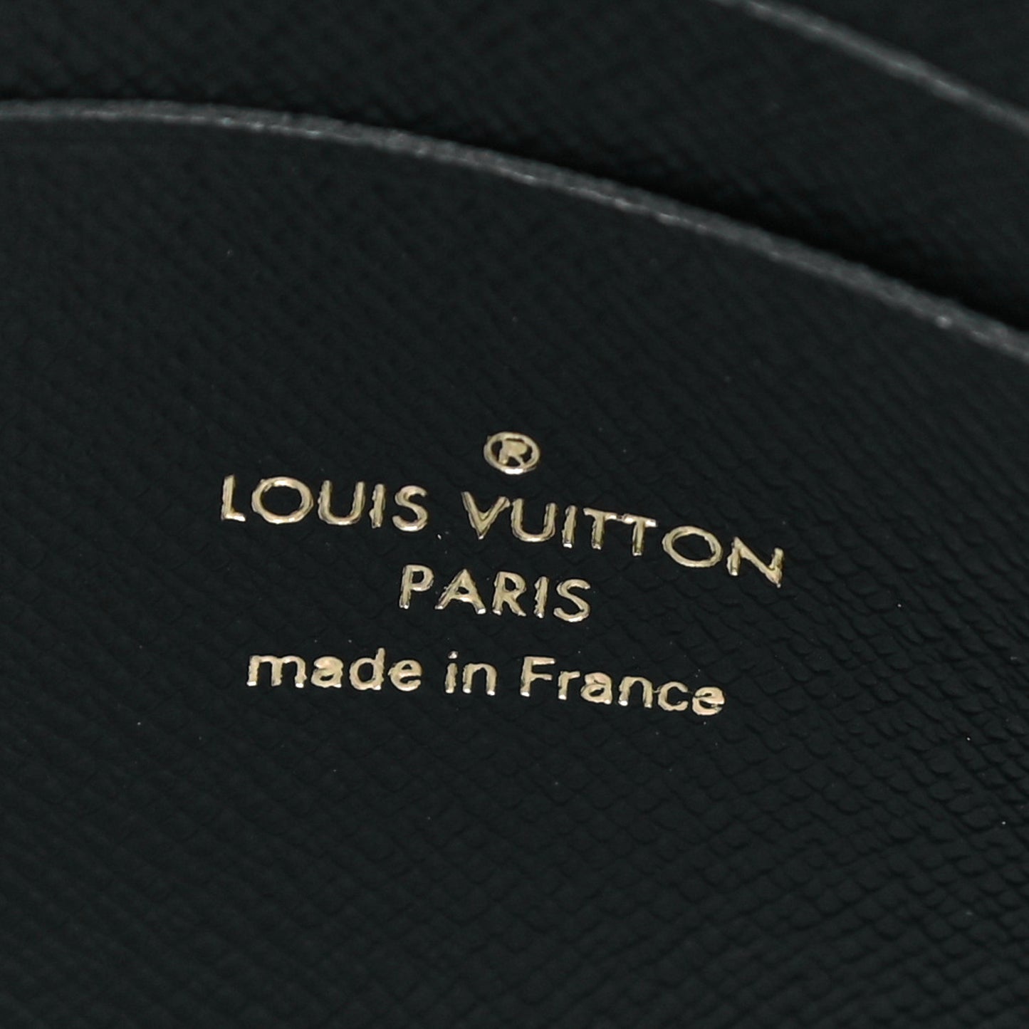 LOUIS VUITTON Reverse Monogram Giant Double Zip Pochette
