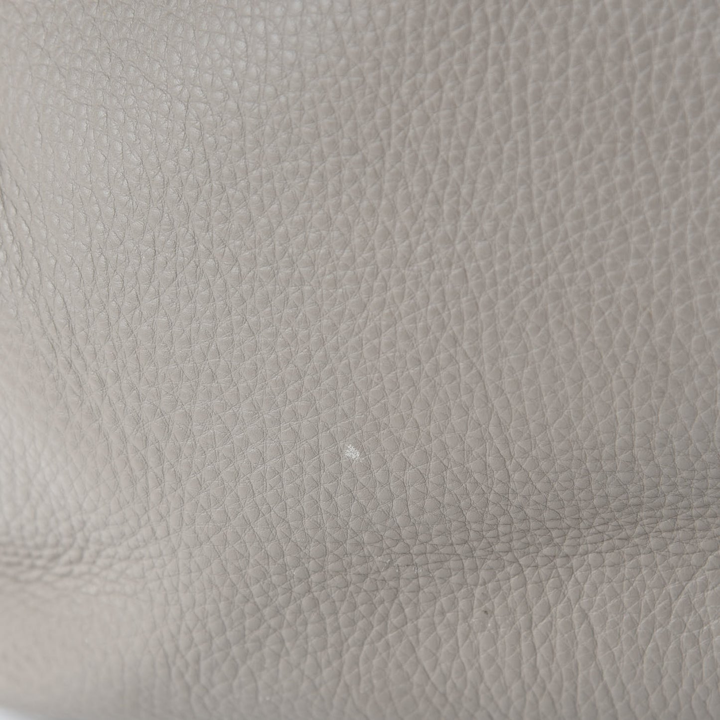Vitello Daino Side Zip Tote Pomice