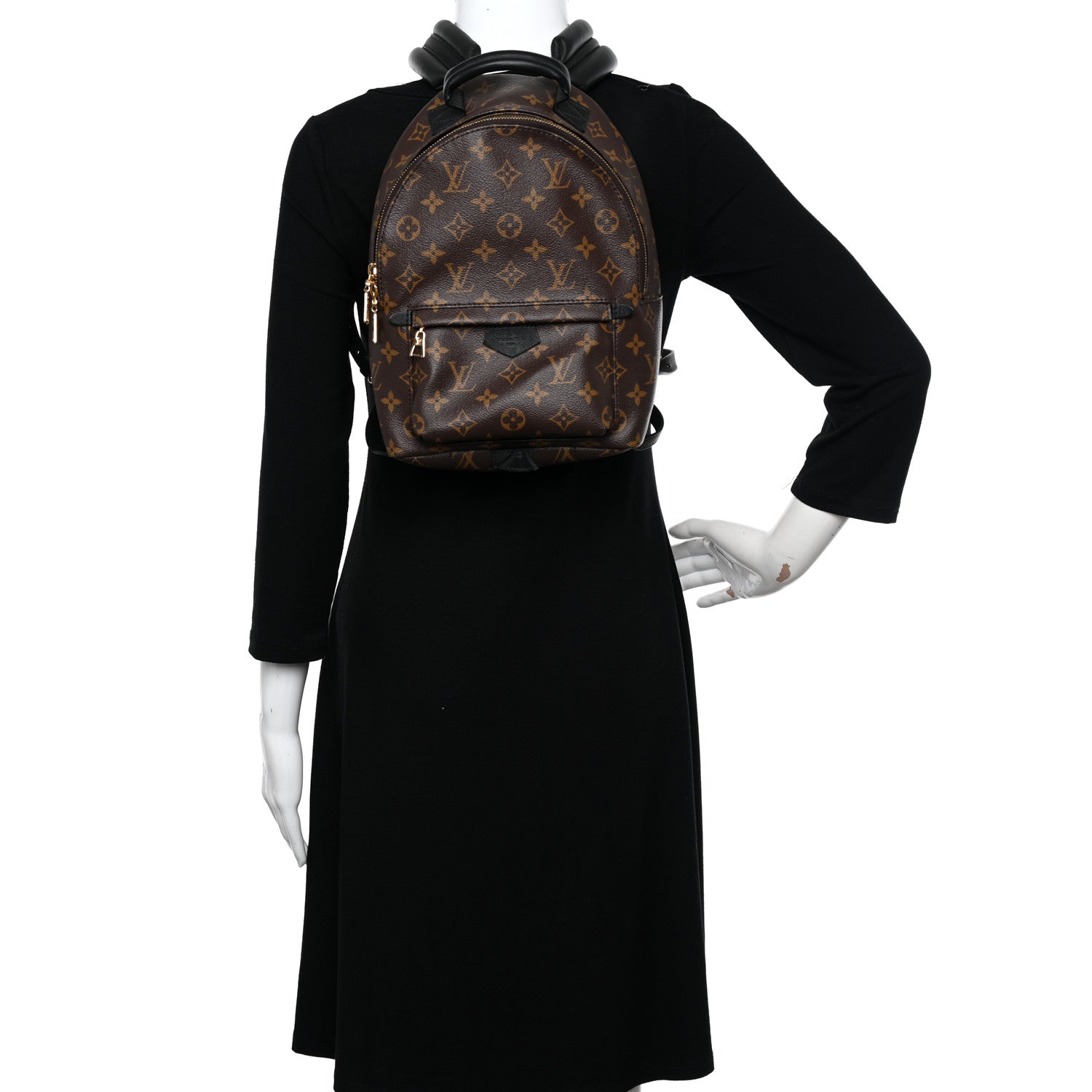 Louis Vuitton Monogram Palm Springs Backpack PM 2 of 13