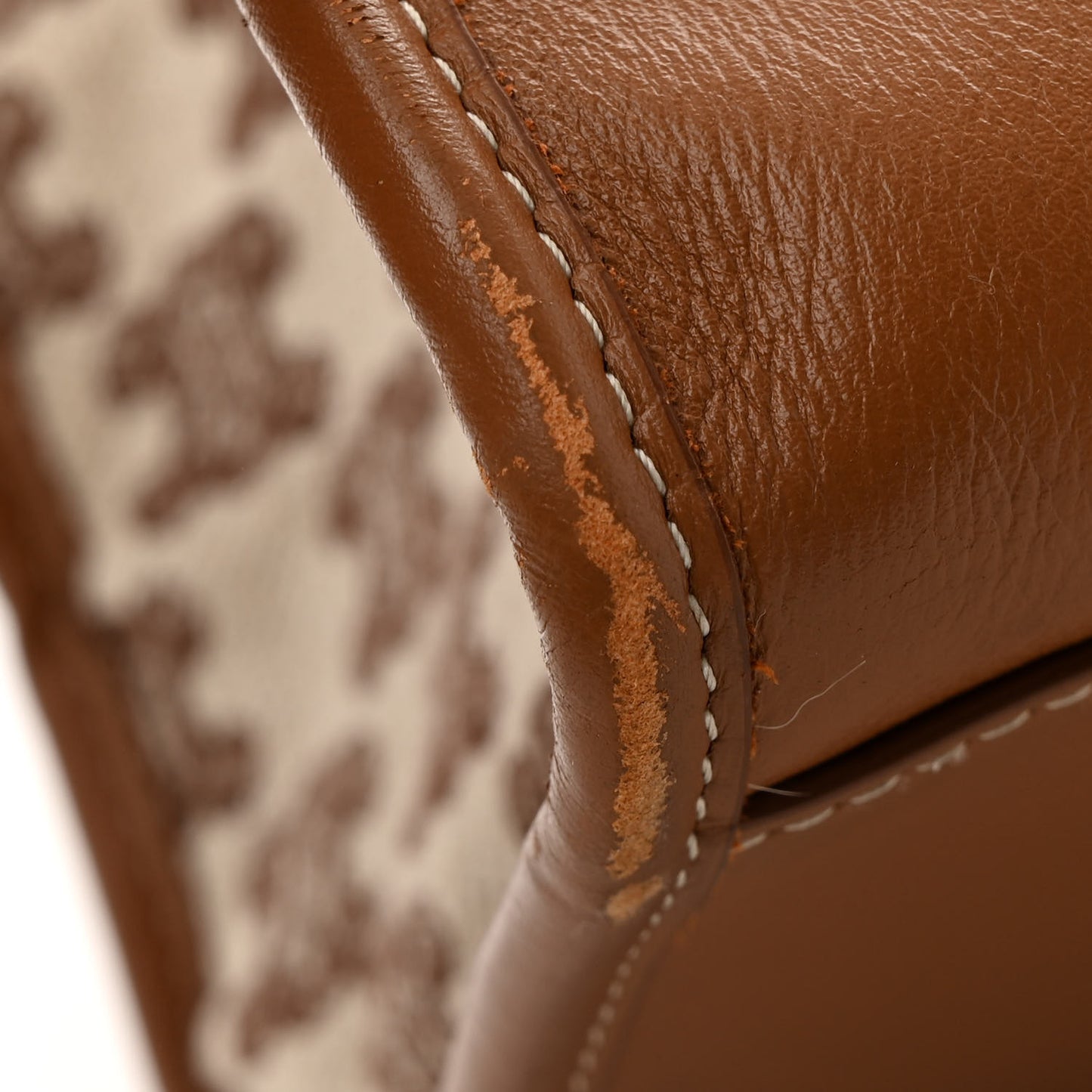Canvas Calfskin Triomphe Embroidered Horizontal Cabas Tan