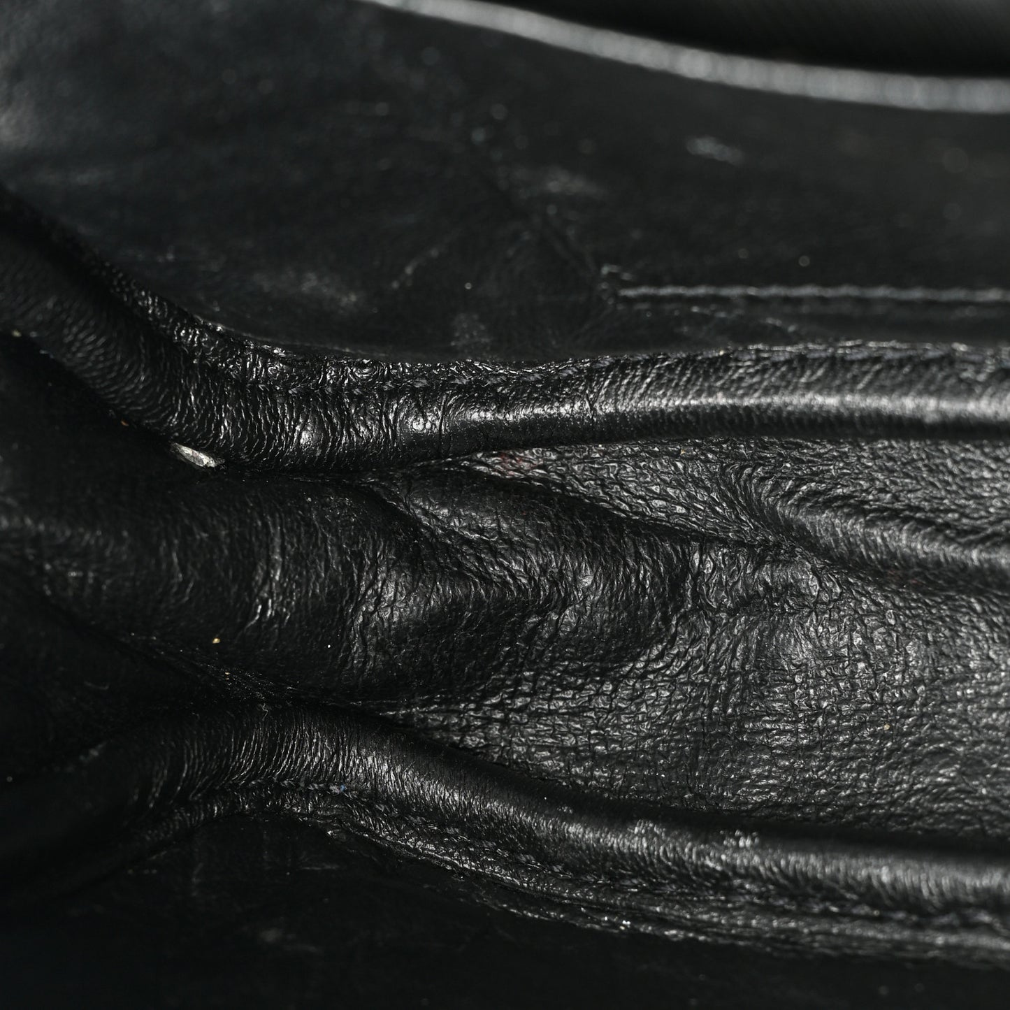 Calfskin Crocodile Embossed Monogram Mini Lou Camera Bag Black