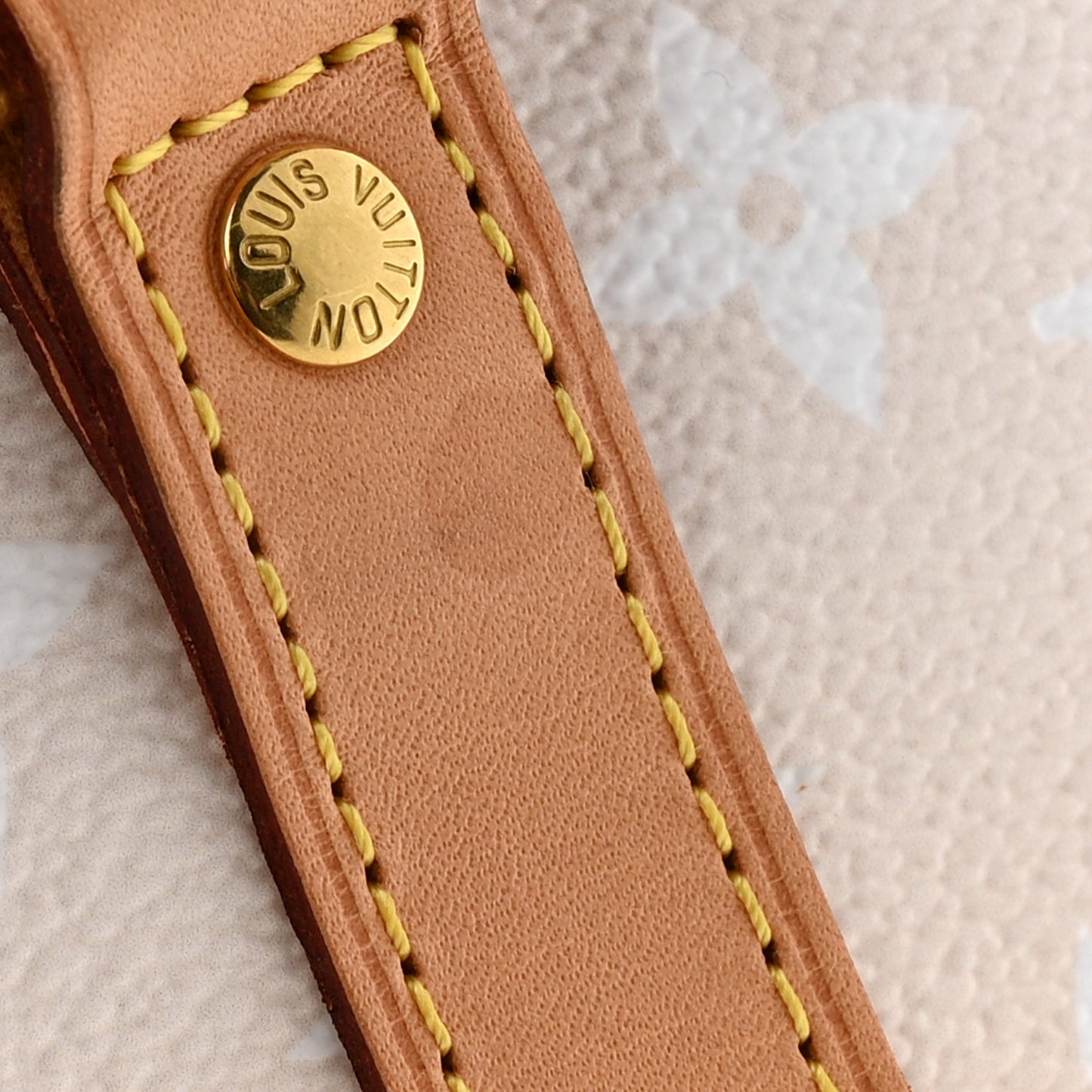 Monogram Giant By The Pool Speedy Bandouliere 25 Brume