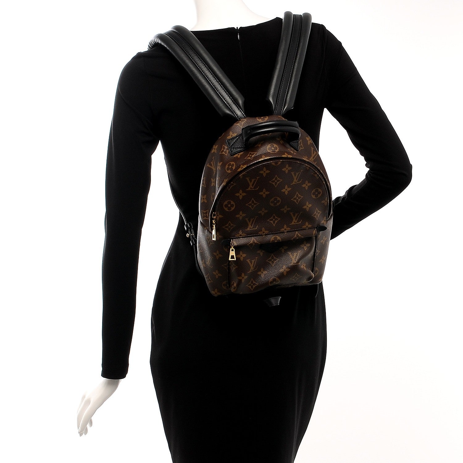 Louis Vuitton Monogram Palm Springs Backpack PM 2 of 7