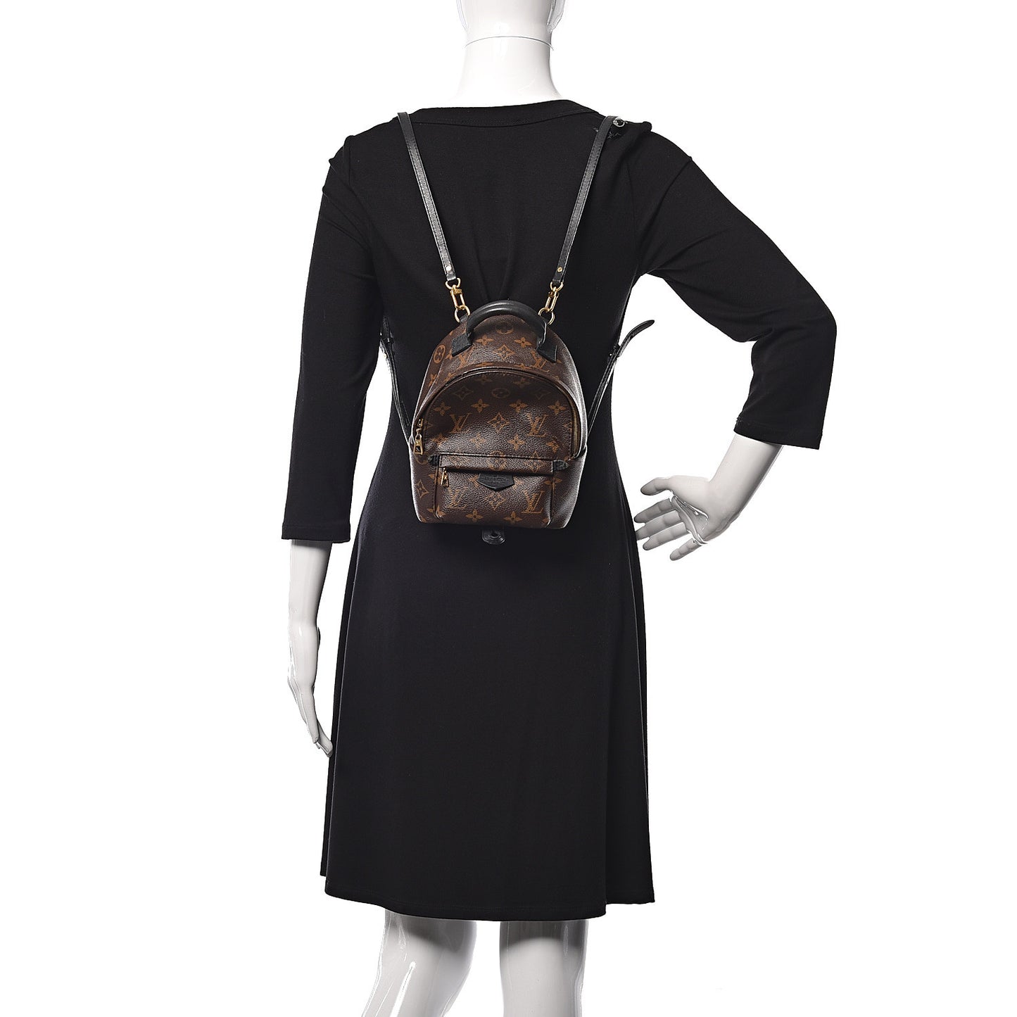 Monogram Palm Springs Backpack Mini