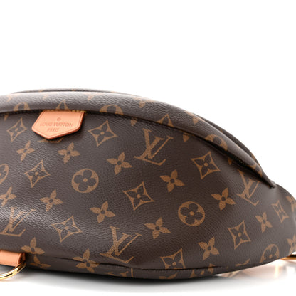 Louis Vuitton LOUIS VUITTON Monogram Bumbag 10 of 11