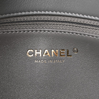 Chanel Sheepskin Snakeskin Chevron Quilted Mini Double Chevron Flap Grey 6 of 11