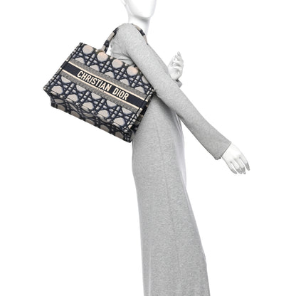 Christian Dior Canvas Macrocannage Embroidered Medium Book Tote Beige Blue 2 of 12
