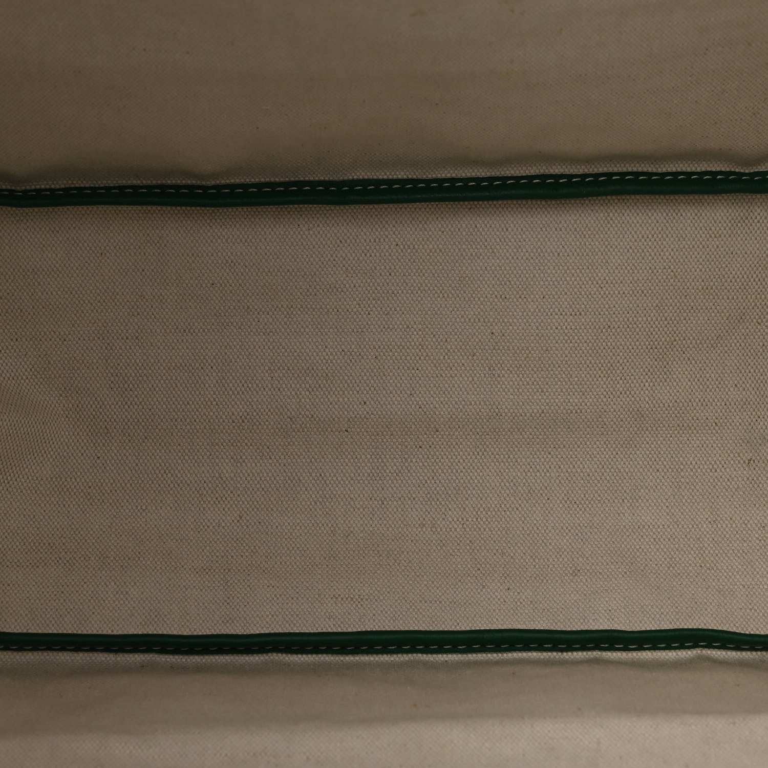 Goyard Goyardine Saint Louis PM Green 5 of 9