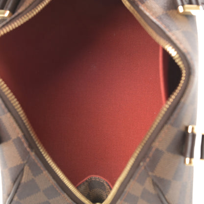 Louis Vuitton Damier Ebene Ribera Mini 5 of 11