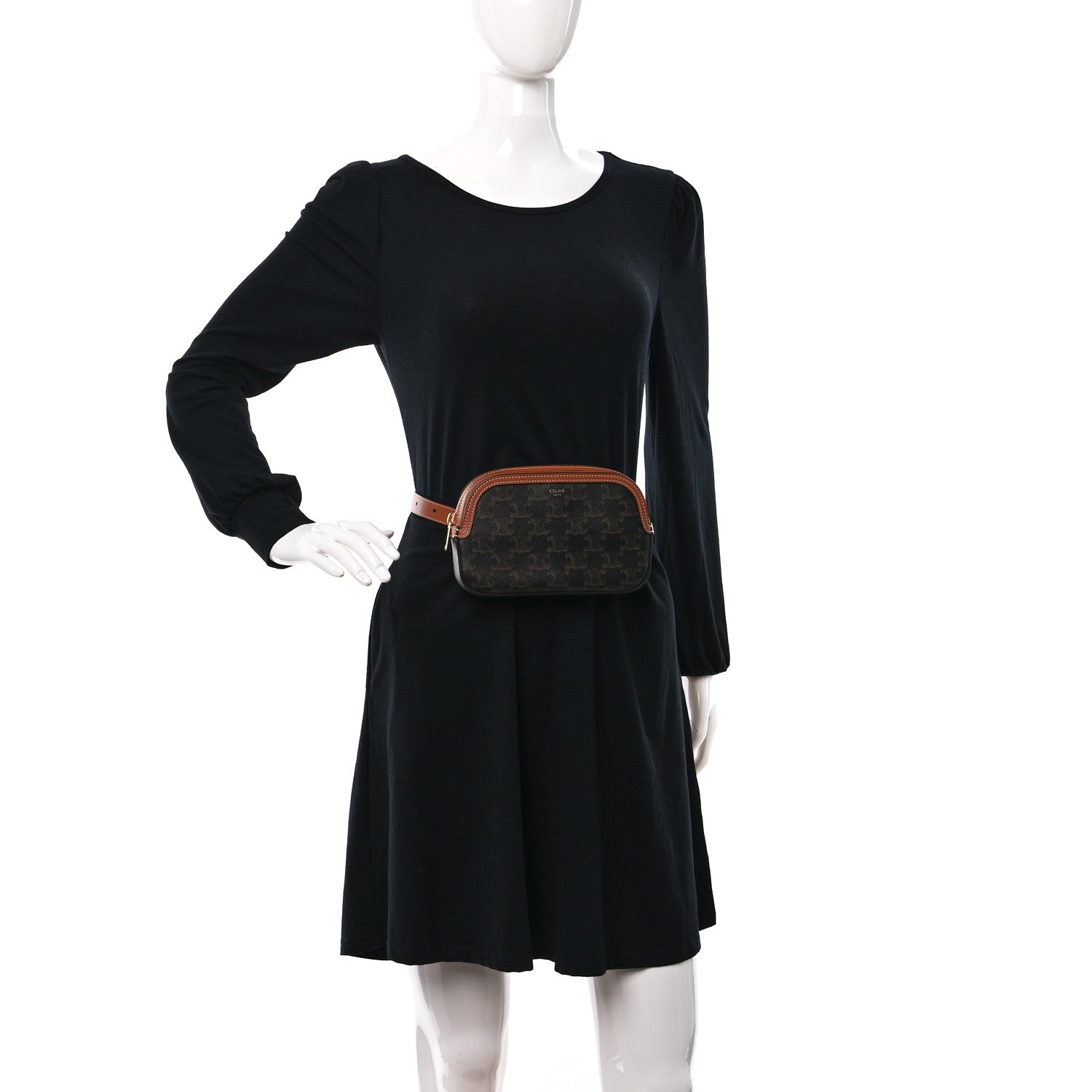 Celine Triomphe Canvas Calfskin Belt Bag Tan 2 of 9