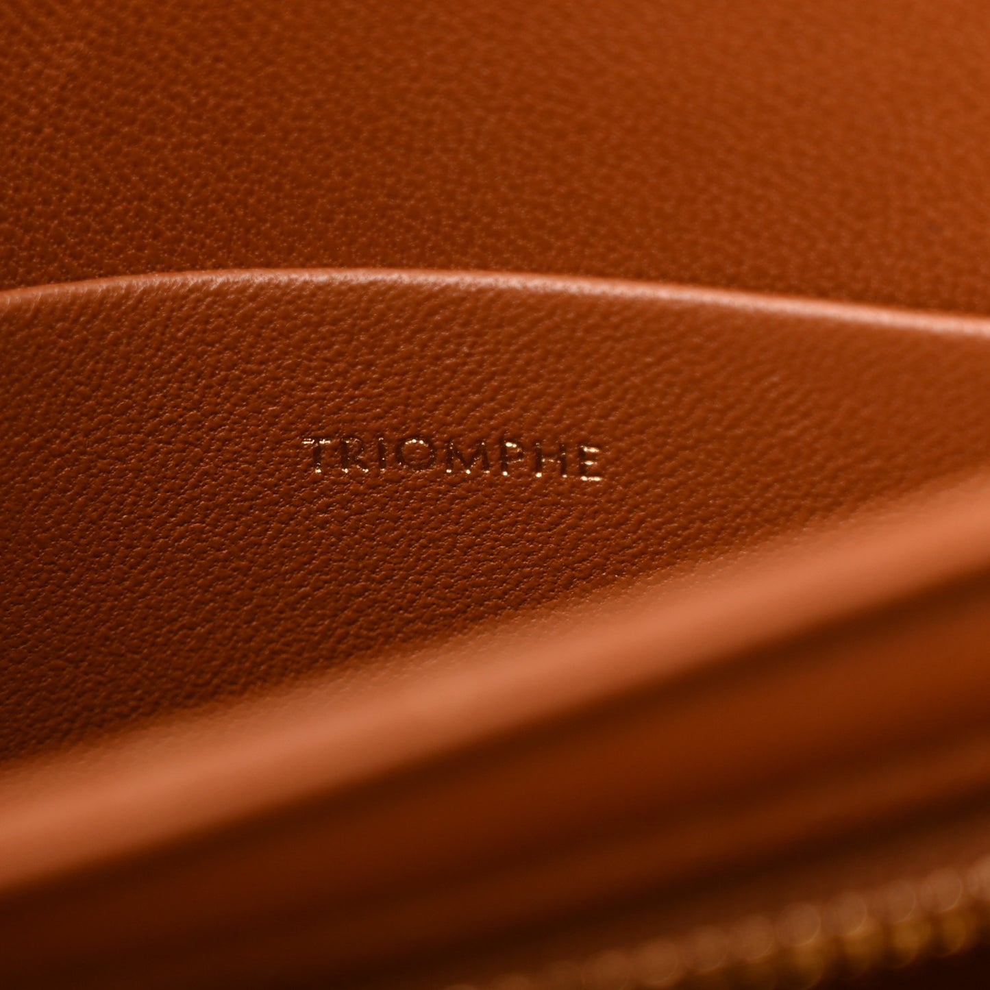 Calfskin Triomphe Canvas Teen Triomphe Bag Tan
