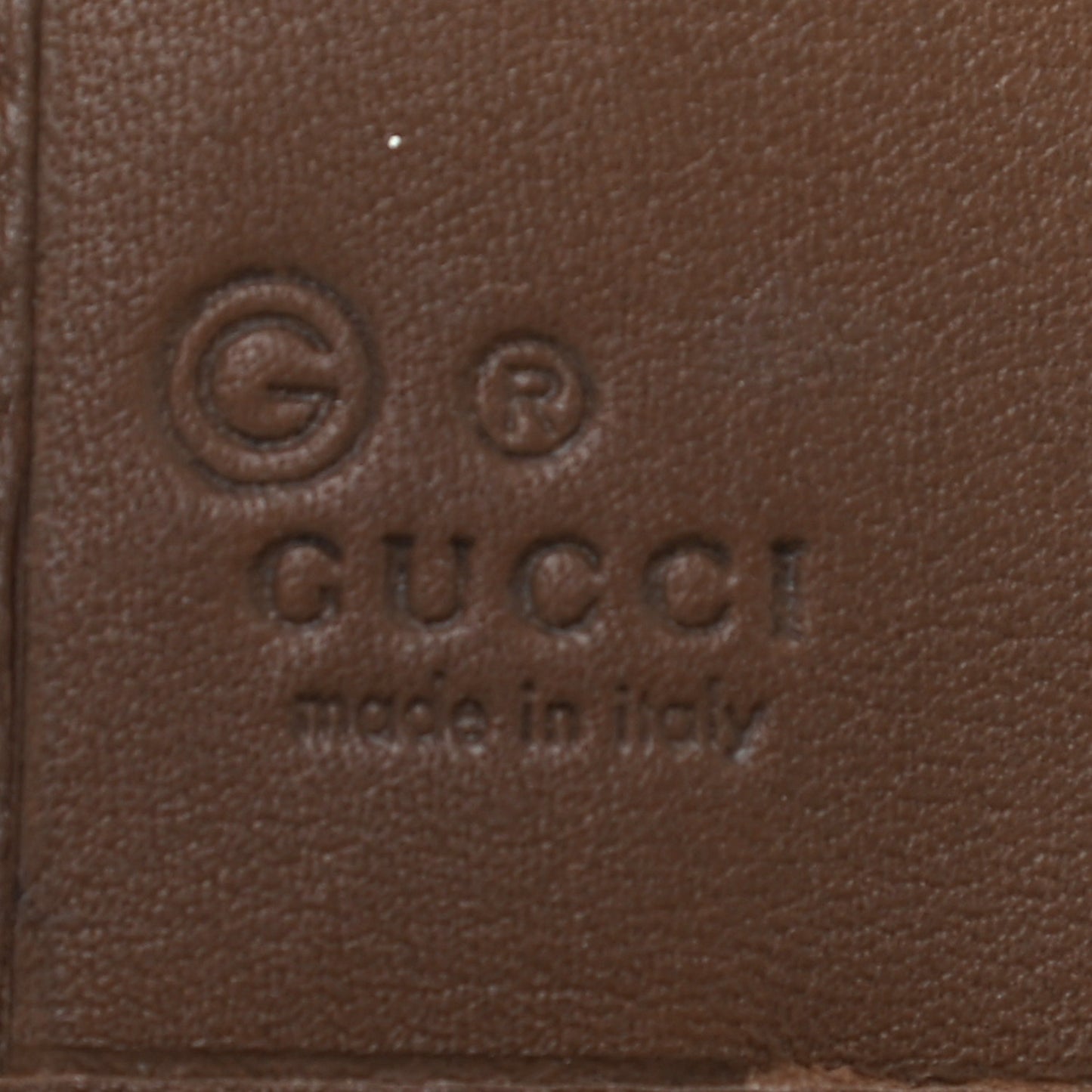 Microguccissima Large Zip Around Organizer Wallet Acero