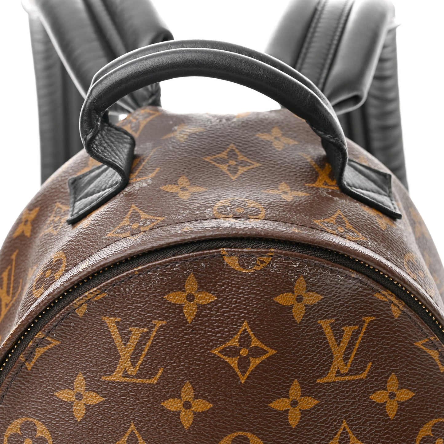 Monogram Palm Springs Backpack PM