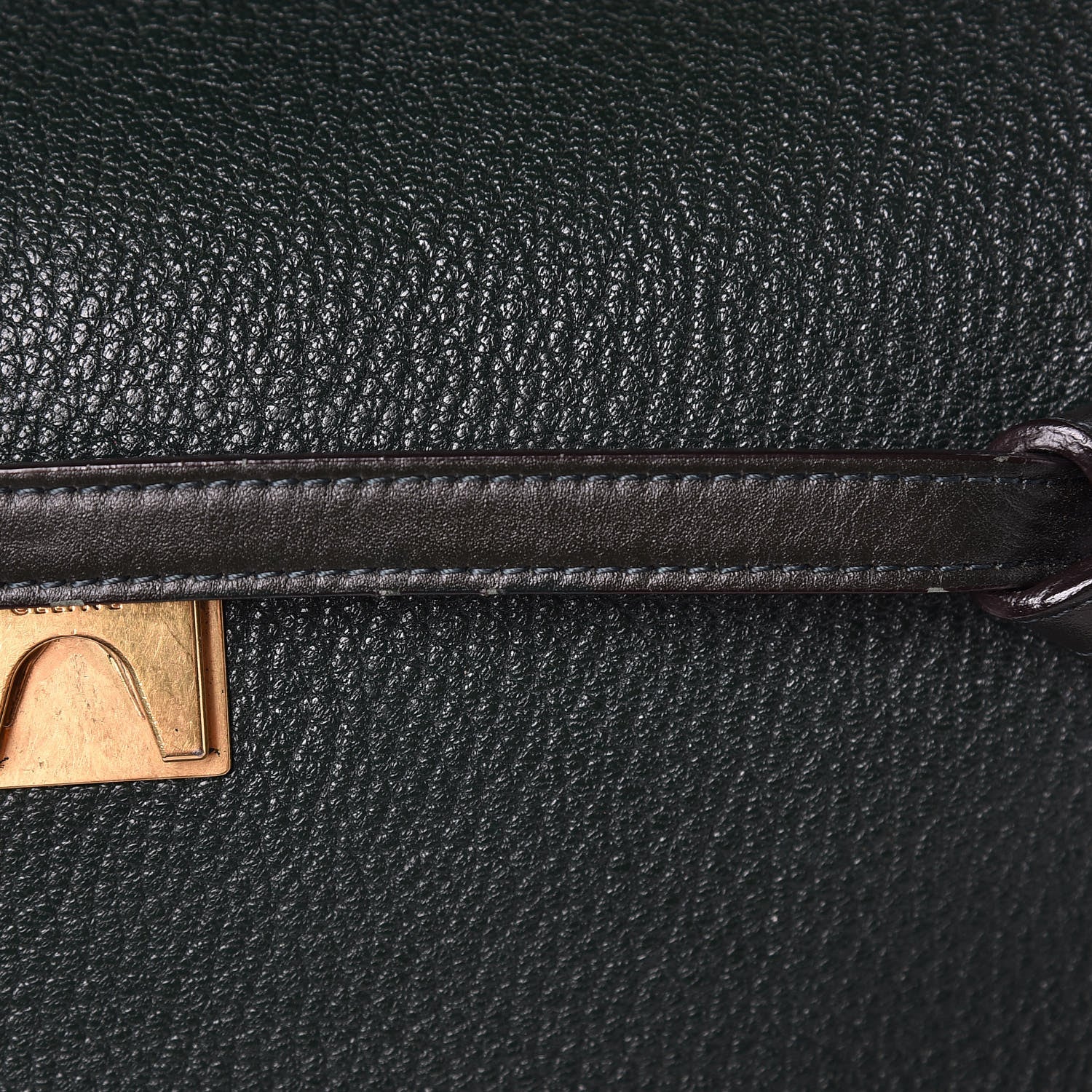 Celine Goatskin Smooth Calfskin Mini Belt Bag Dark Green 13 of 18