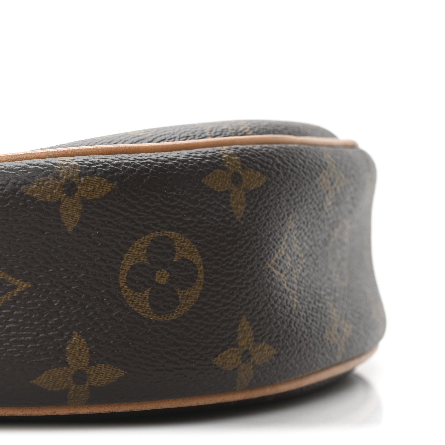 Louis Vuitton Monogram Loop 9 of 10