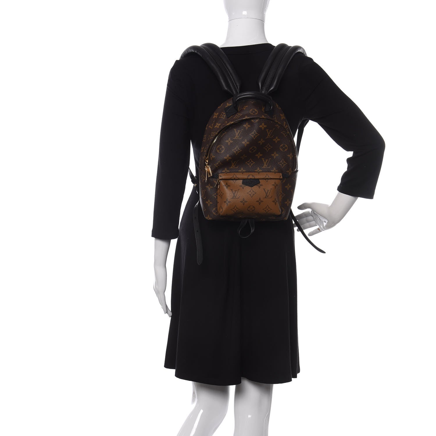 Louis Vuitton Reverse Monogram Palm Springs Backpack PM 2 of 8
