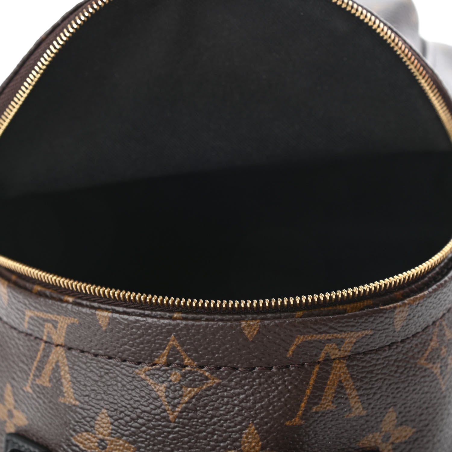 Louis Vuitton Monogram Palm Springs Backpack Mini 4 of 4