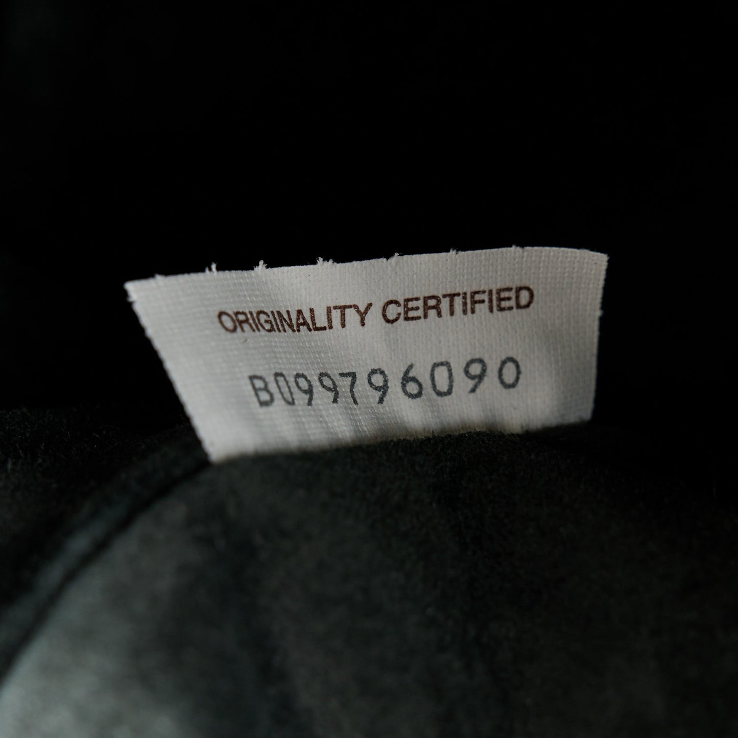 Metallic Crushed Calfskin Teen Pouch Chlorophyll