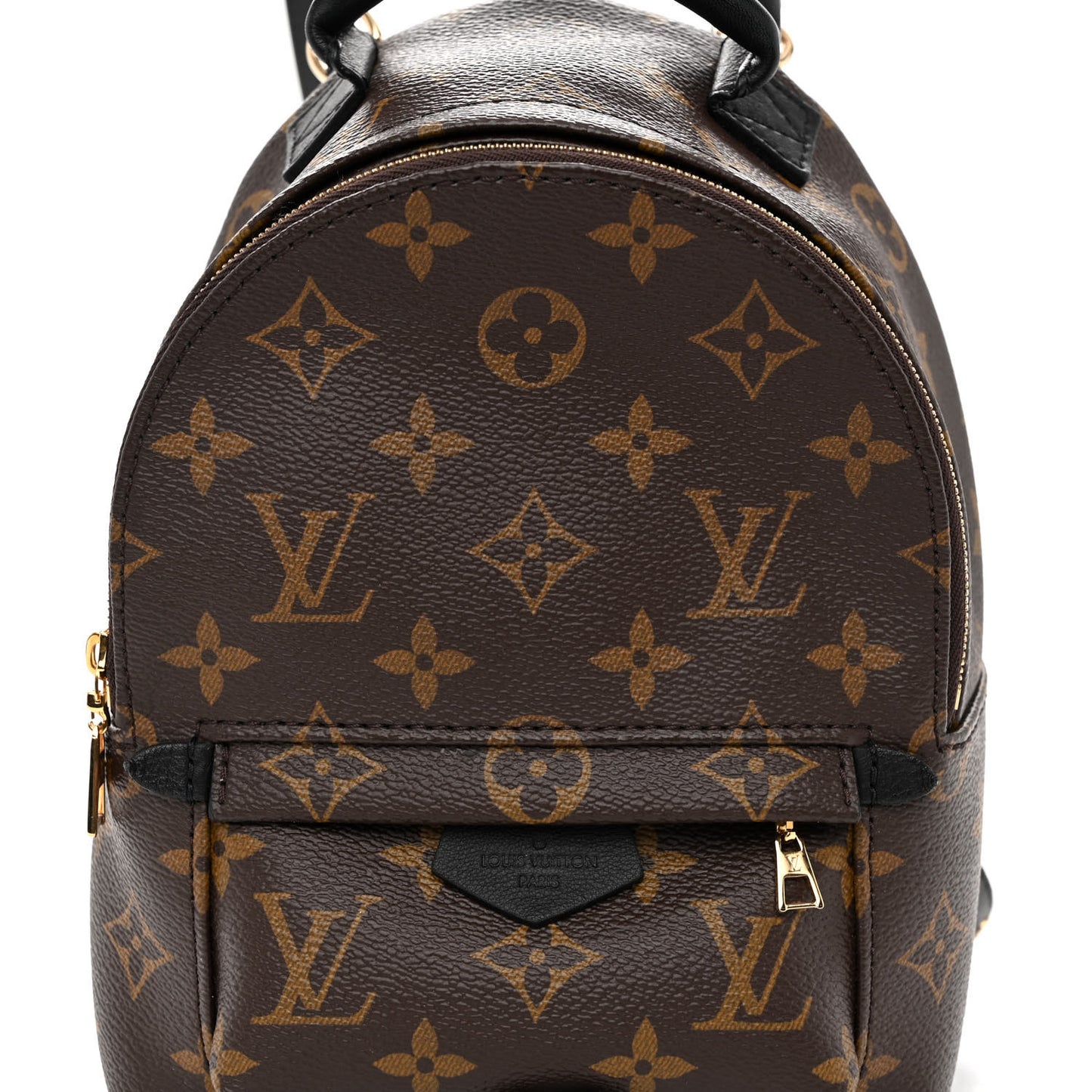 Monogram Palm Springs Backpack Mini