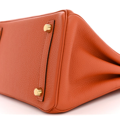 Hermes Togo Birkin 25 Terre Battue 9 of 10