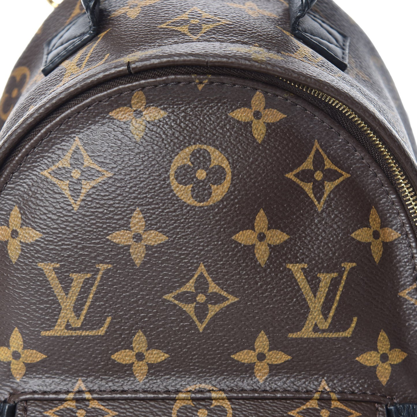 Monogram Palm Springs Backpack Mini