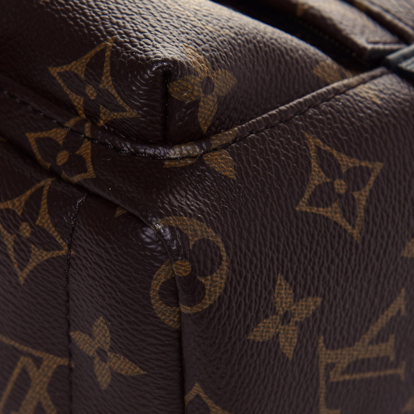 Monogram Palm Springs Backpack Mini