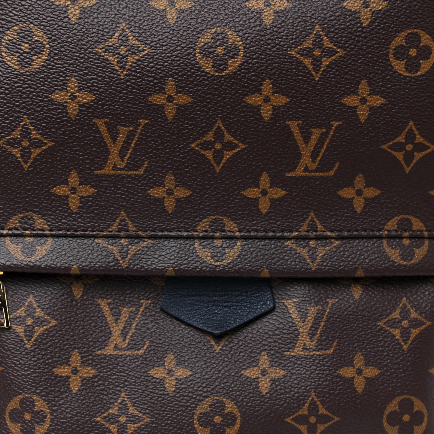 Monogram Palm Springs Backpack MM