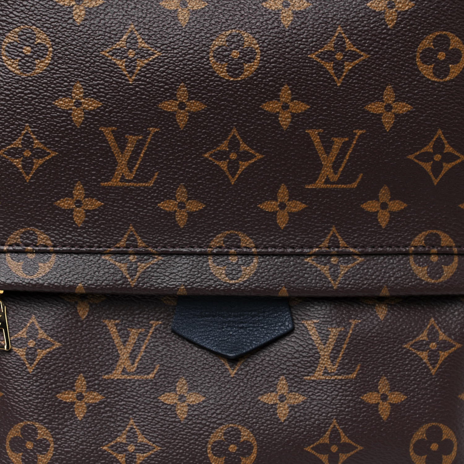 Louis Vuitton Monogram Palm Springs Backpack MM 6 of 10