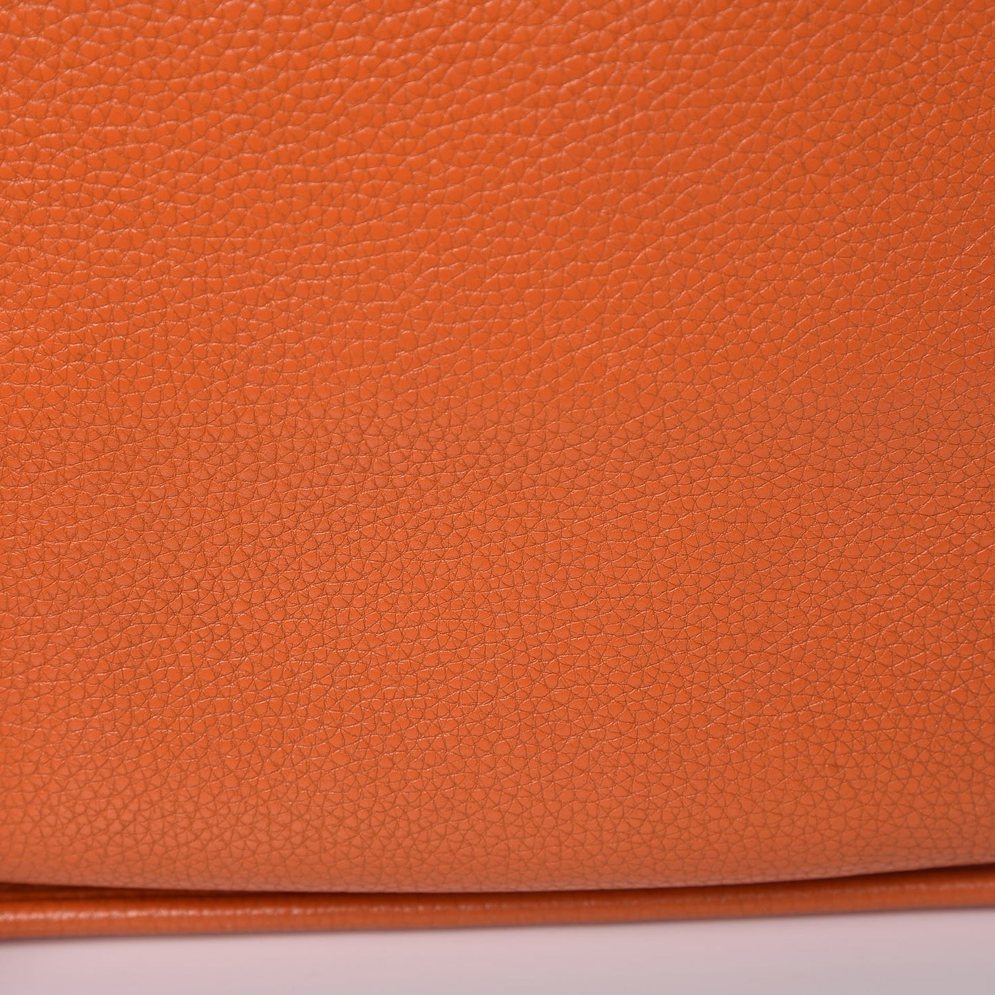 Taurillon Clemence Evelyne PM Orange