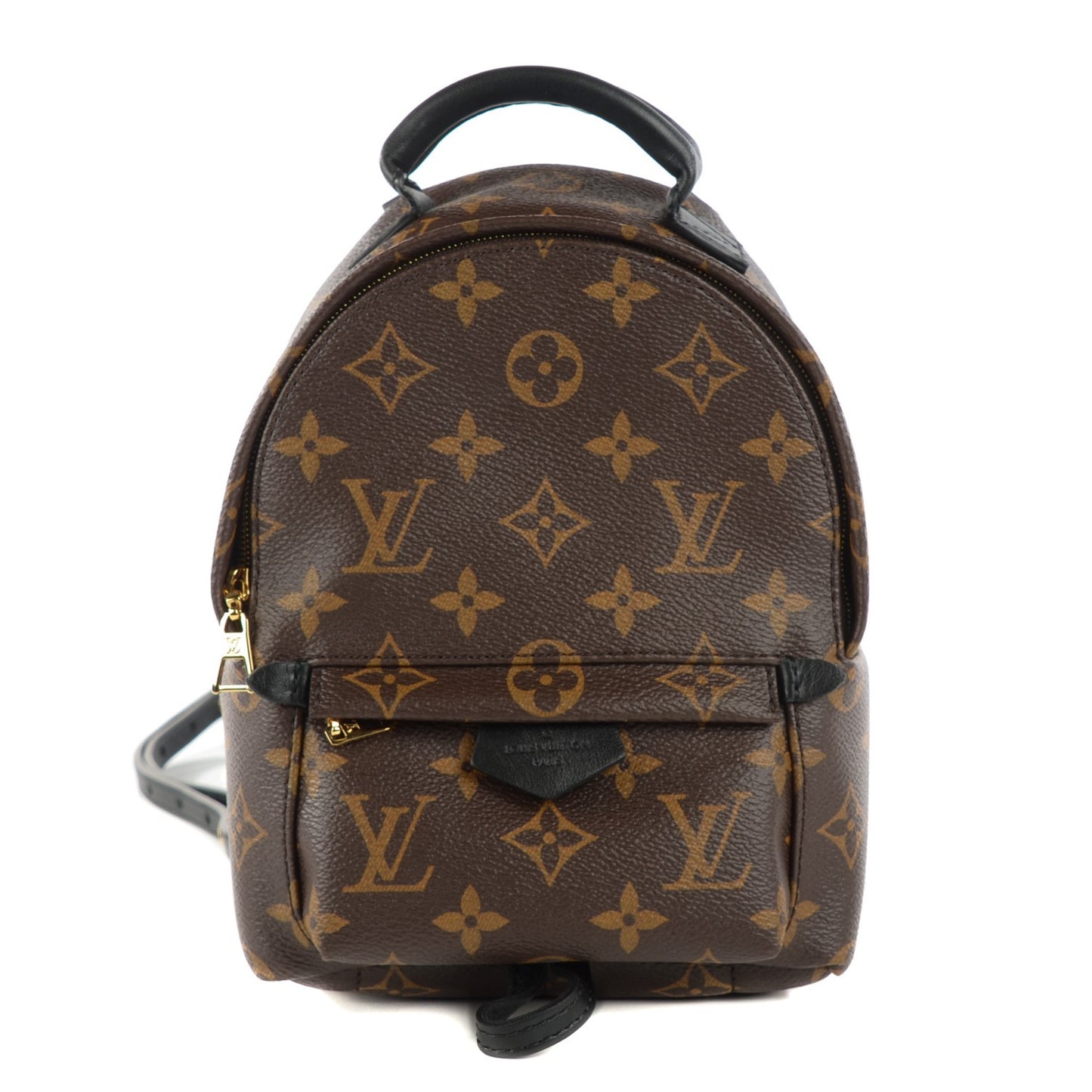 Monogram Palm Springs Backpack Mini