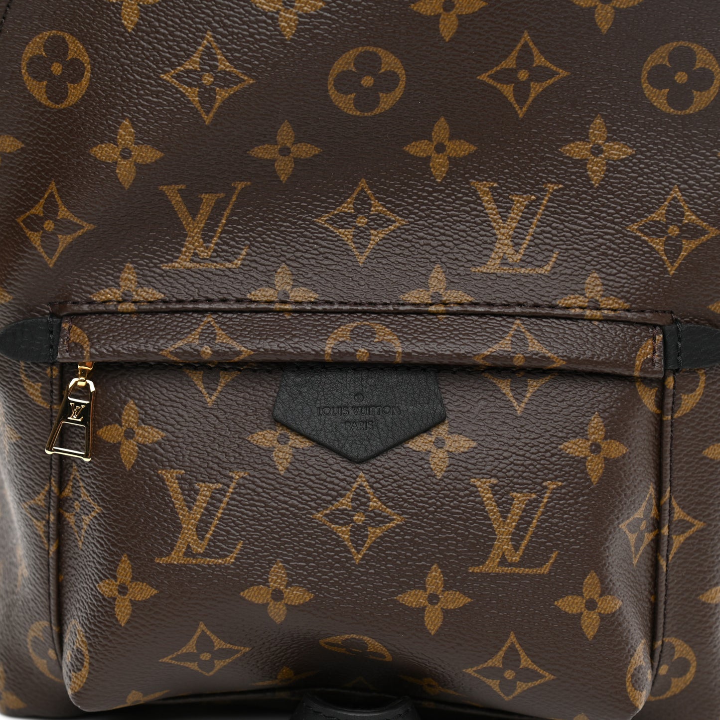 Monogram Palm Springs Backpack PM