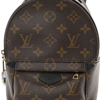 Louis Vuitton Monogram Palm Springs Backpack Mini 7 of 10