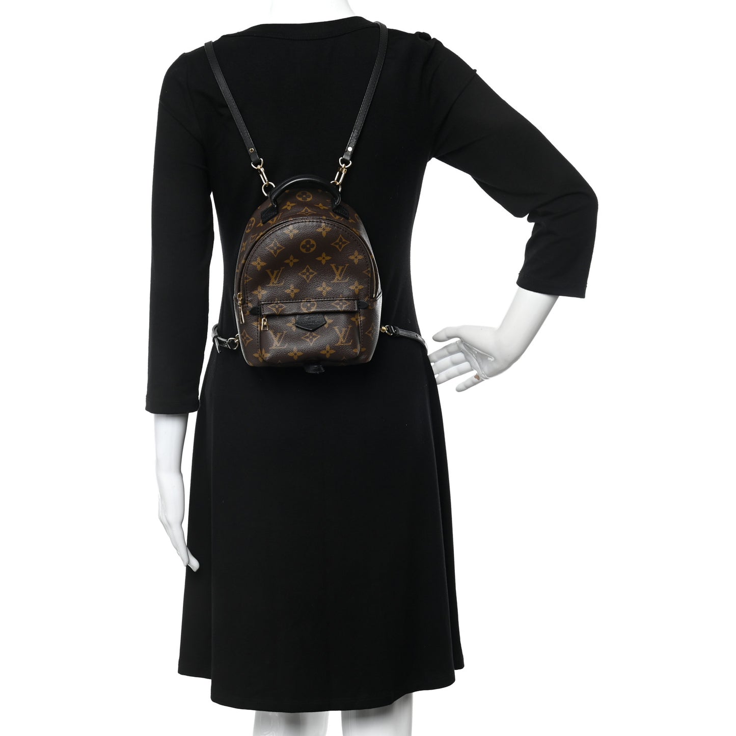 Monogram Palm Springs Backpack Mini