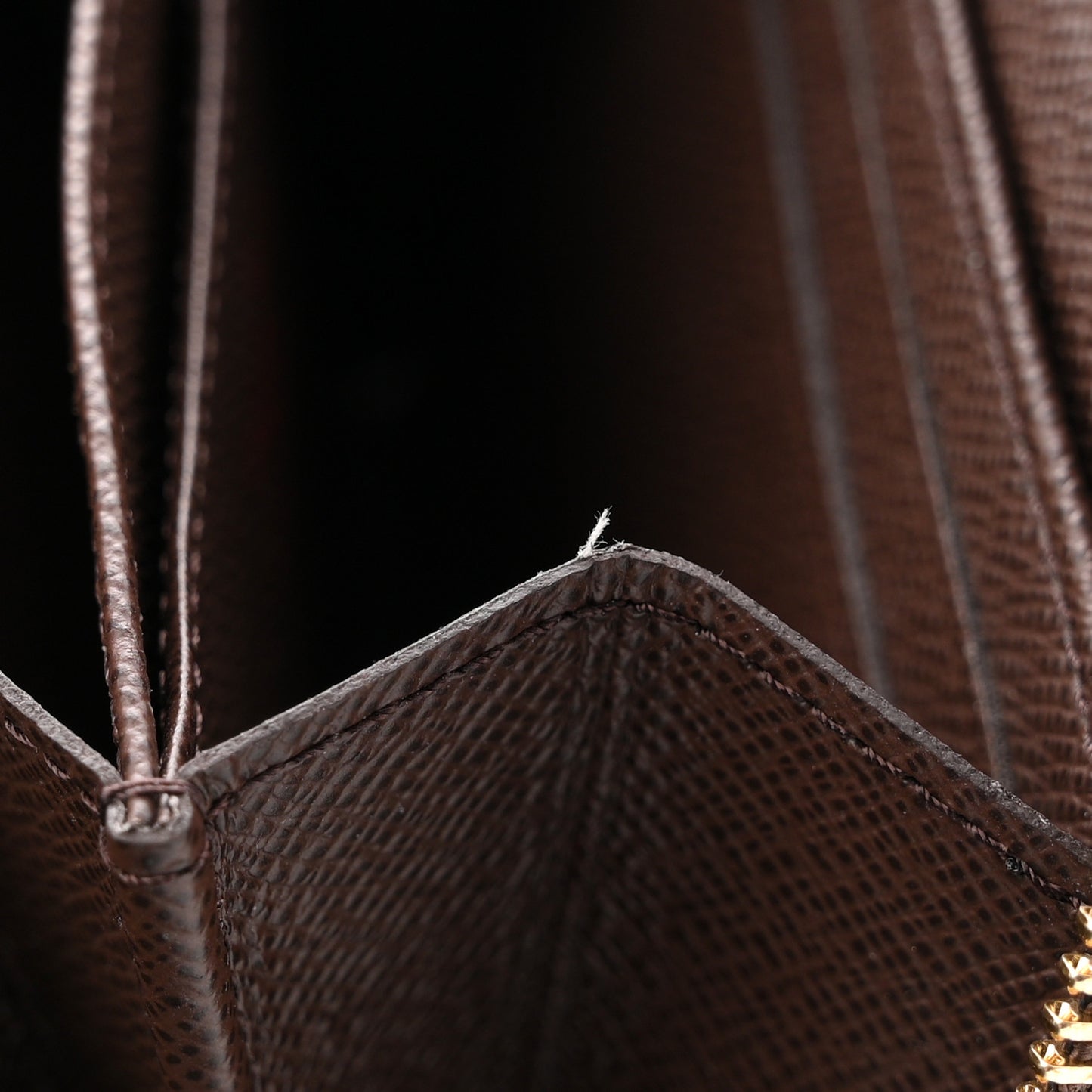 Damier Ebene Zippy Coin Purse
