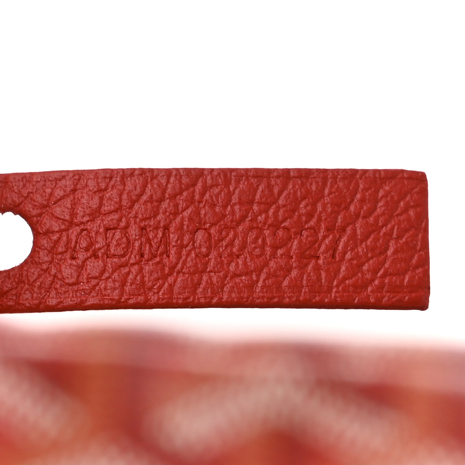 Goyard Goyardine Saint Louis PM Red 8 of 11