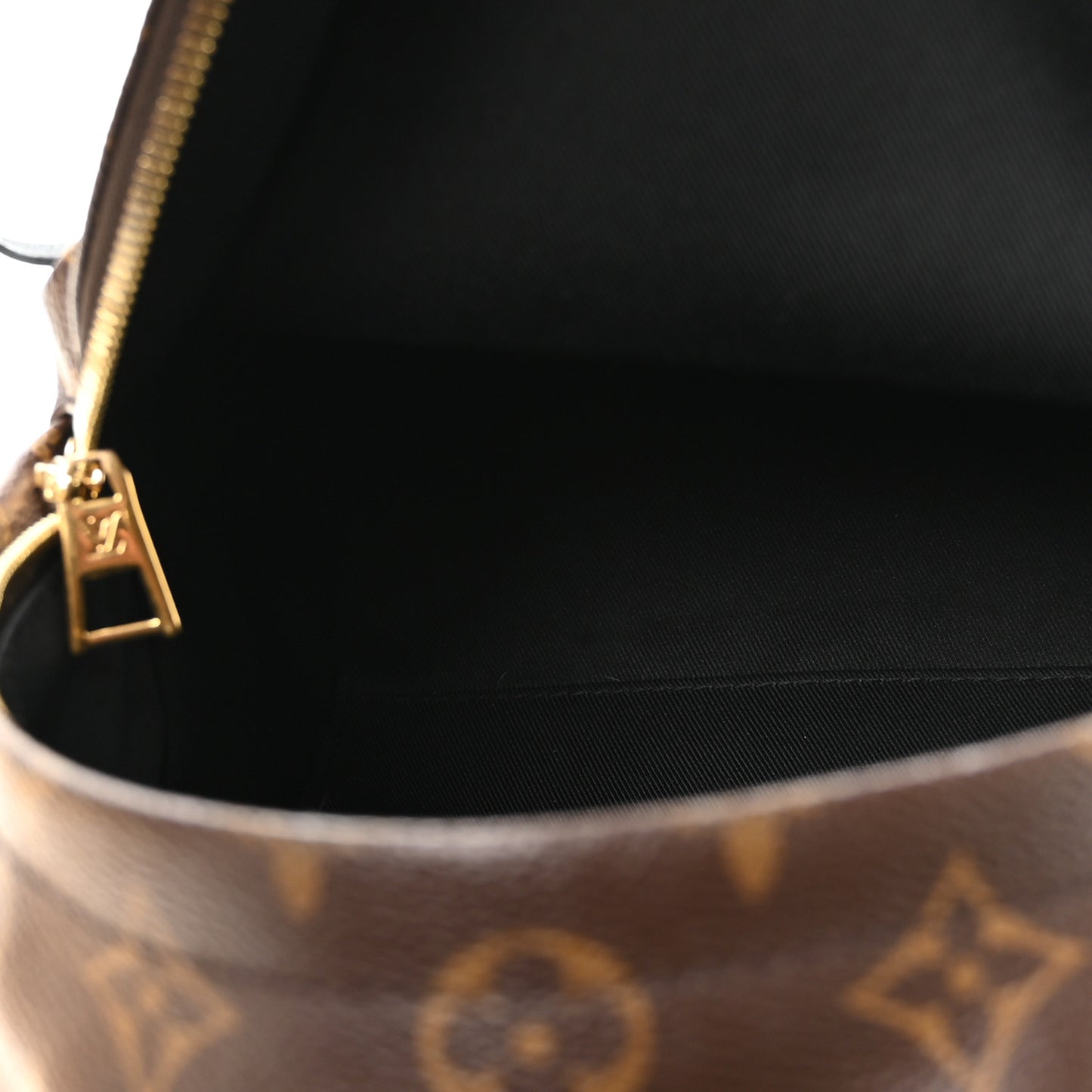 Monogram Palm Springs Backpack PM