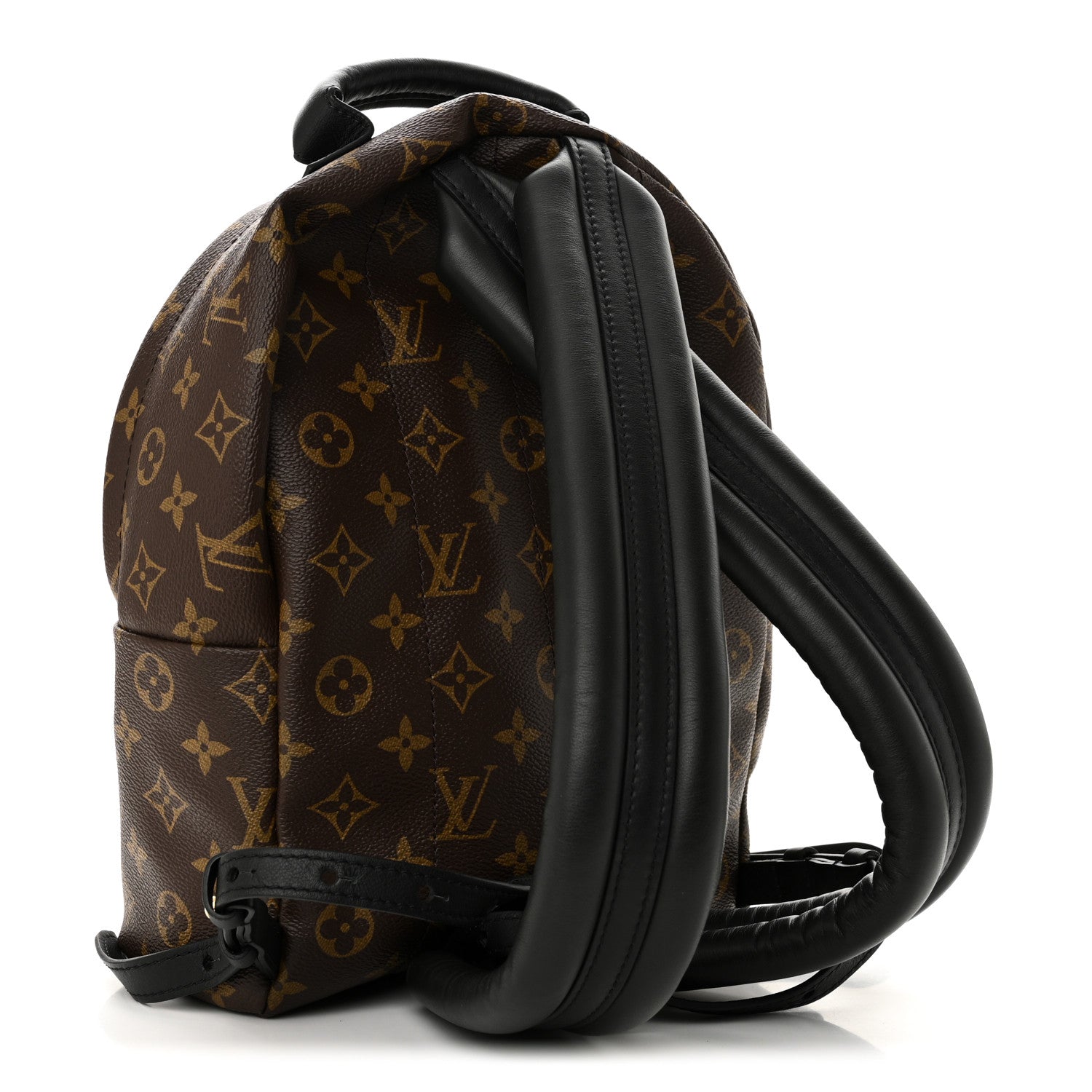 Louis Vuitton Monogram Palm Springs Backpack PM 3 of 9