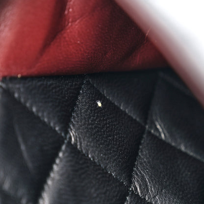 Chanel Lambskin Quilted Camera Case Black 16 of 19