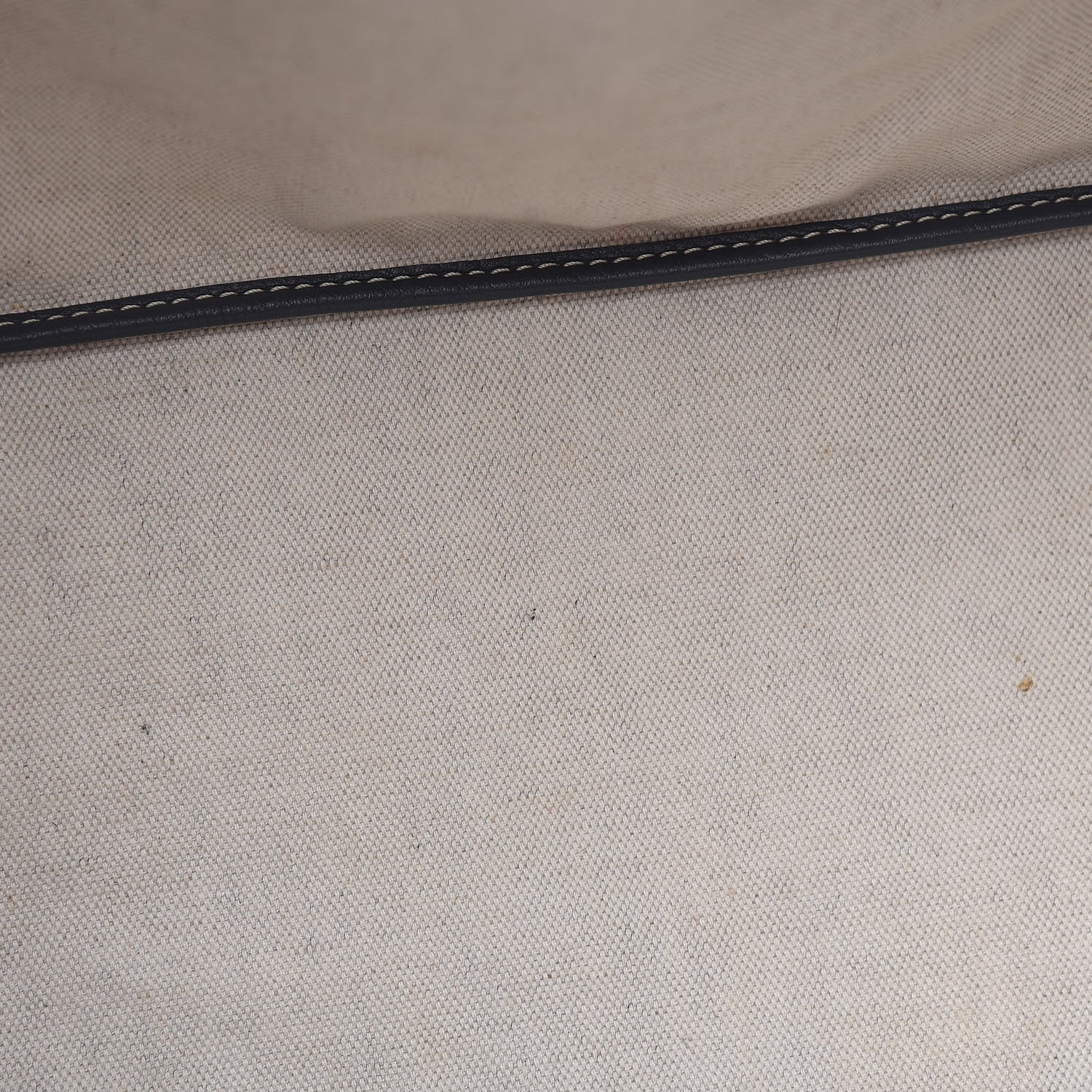 Goyard Goyardine Saint Louis PM Grey 13 of 16