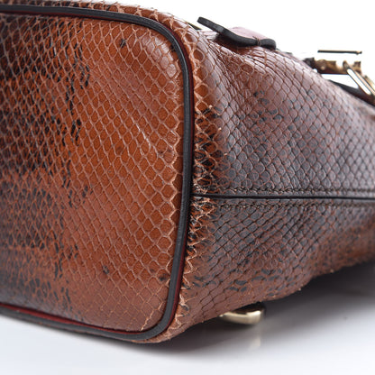 Chloe Calfskin Watersnake Embossed Mini Faye Backpack Sepia Brown 10 of 14