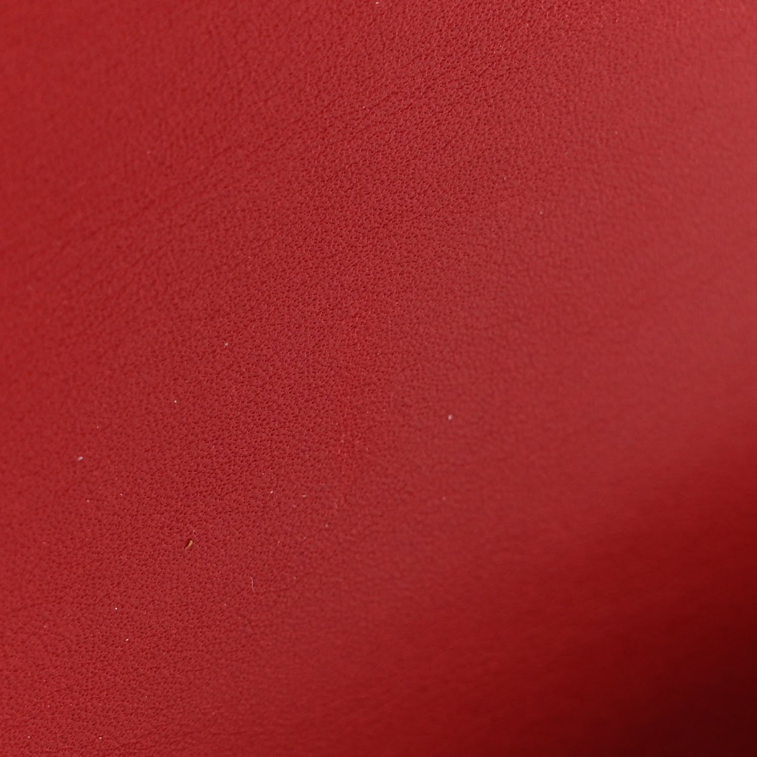 Gucci Calfskin Web Embroidered Medium Dionysus Hobo Hibiscus Red 11 of 14