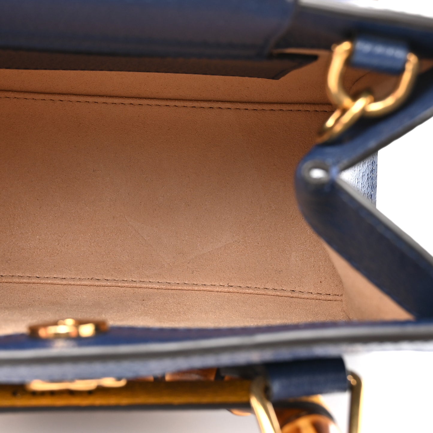 Textured Dollar Calfskin Web Mini Diana Tote Bag Royal Crop