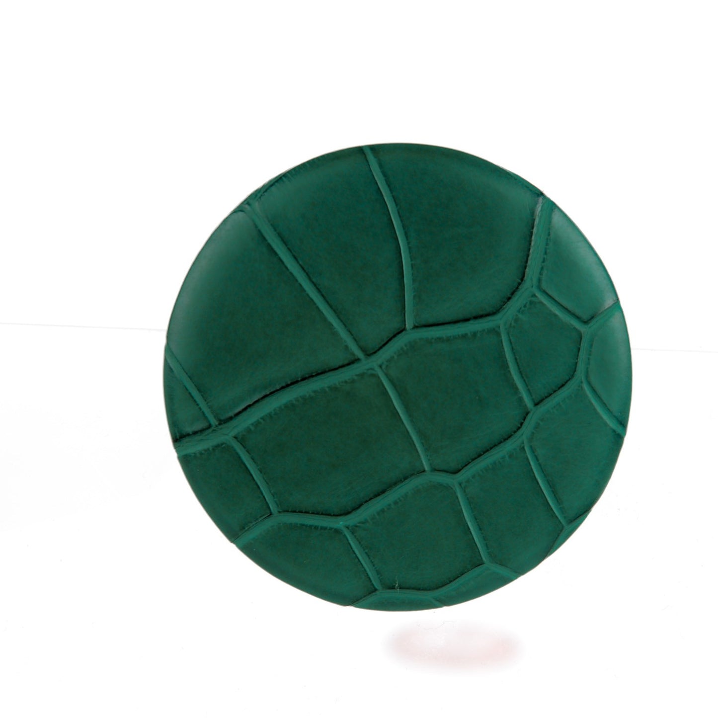 Matte Alligator Petit H Pin Brooch Malachite