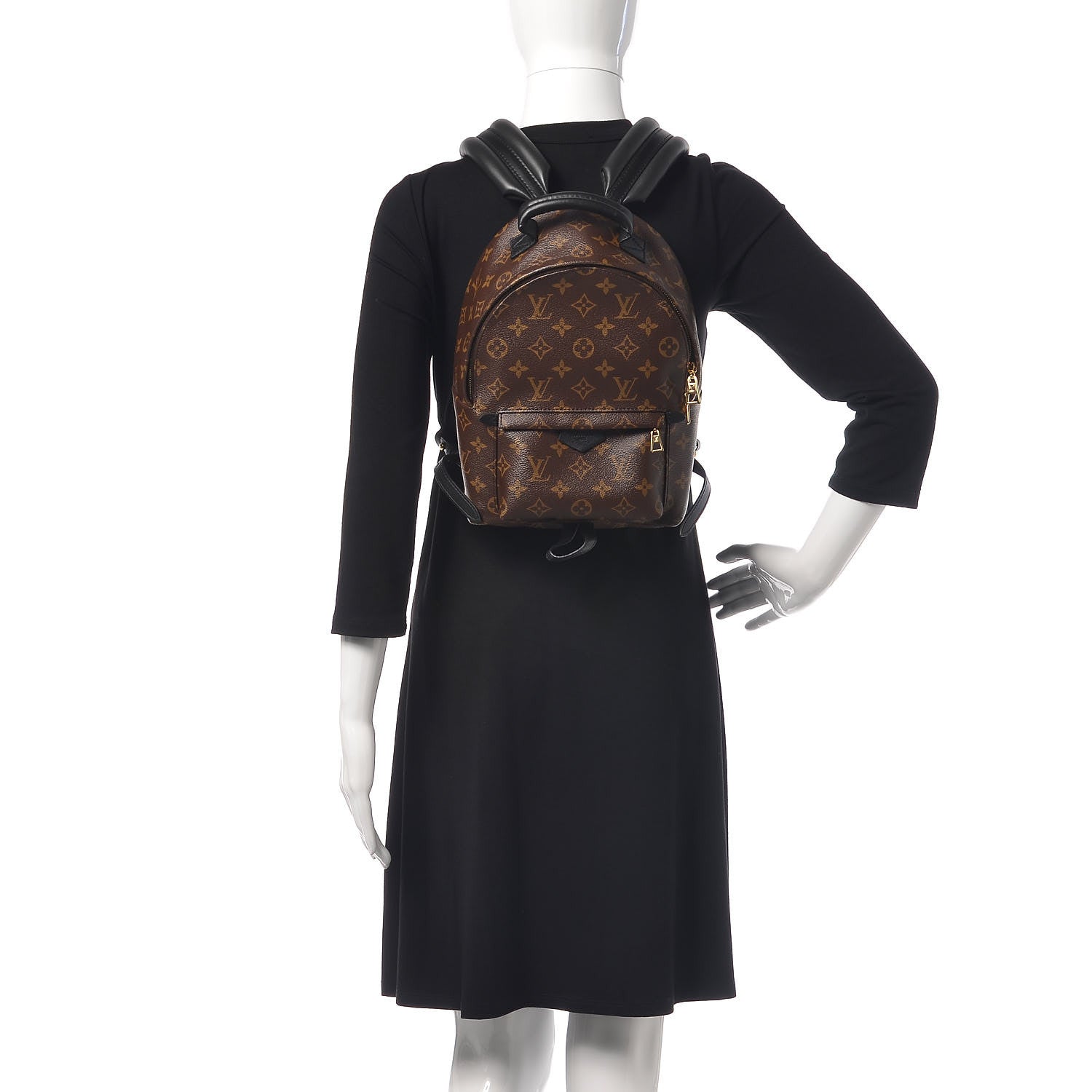 Louis Vuitton Monogram Palm Springs Backpack PM 2 of 11