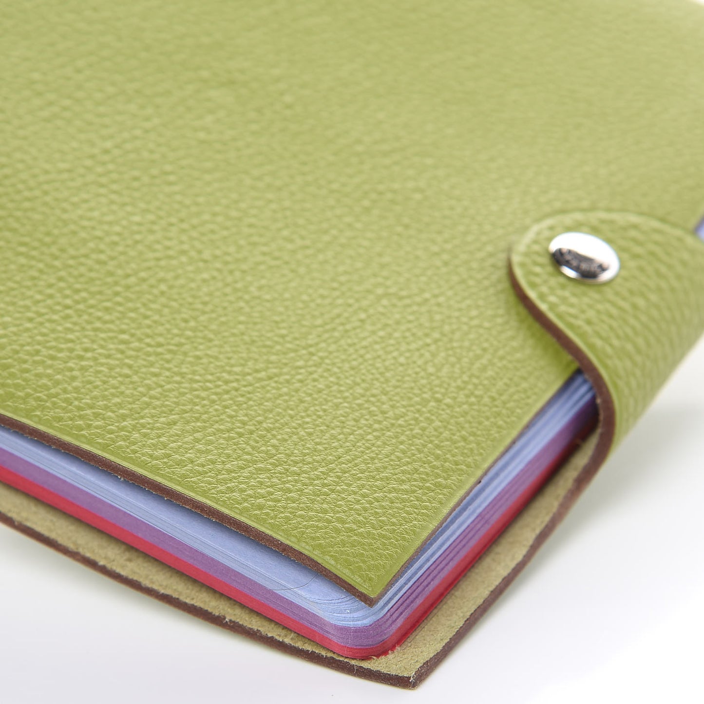Togo Ulysse PM Notebook Vert Anis