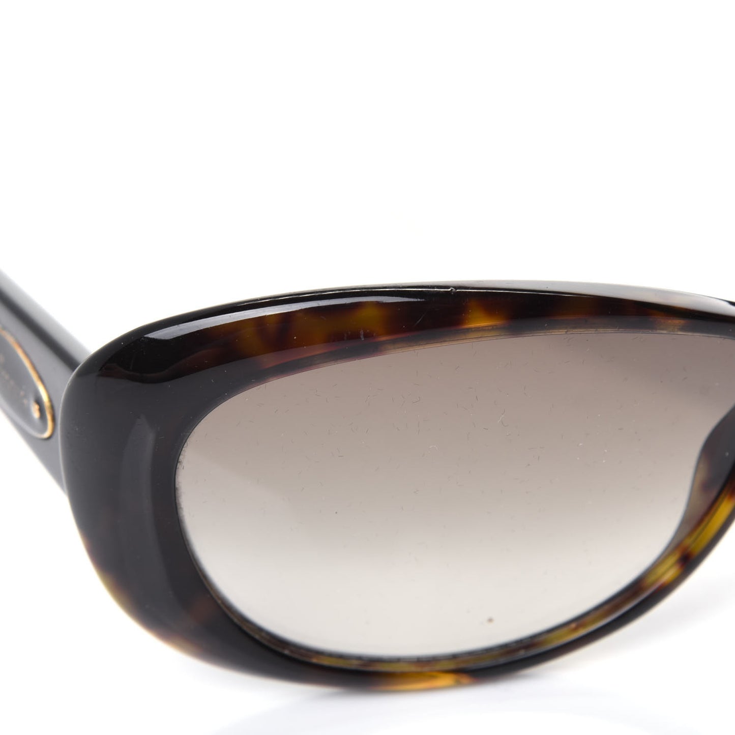 Acetate Oversized Sunglasses GG2933S Tortoise